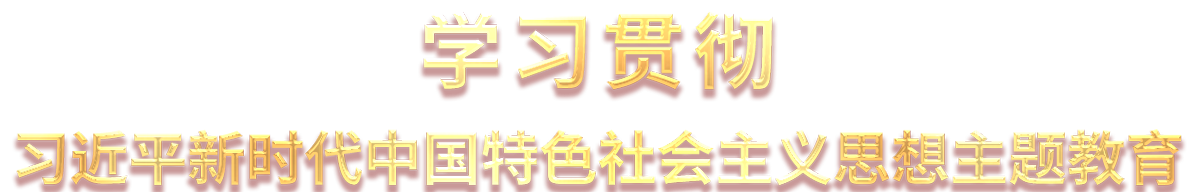 學(xué)習(xí)貫徹習(xí)近平新時(shí)代中國特色社會(huì)主義思想